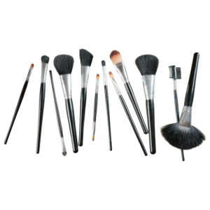 Makeup Brush Set